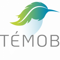 Logo TEMOB - Quadri